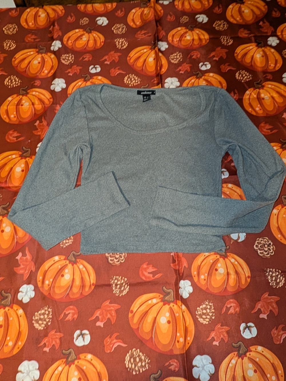 Ambiance Heather Gray Long-Sleeve Scoop Neck Top